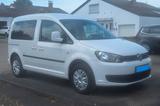 Volkswagen Caddy Trendline 5-Sitzer 1,2 I ... - Volkswagen Caddy: Volks