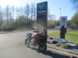 Triumph Tiger 1200 GT Pro - MY2025 - TRIUMPH 1200 TIGER PRO GT