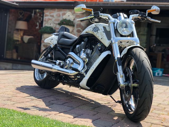 Harley-Davidson V Rod Muscle 260 Air Ride VRod, no Street Glide