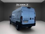 Fiat E-Ducato serie 2 L3H2 *TAGFAHRLICHT*START-STOP* - Tier-/Pferdetransport
