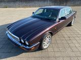 Jaguar XJ X300 2.Hand 4,0 nur 118Tkm - Jaguar XJ: 4.2