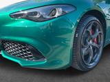 Alfa Romeo Giulia 2.0 Turbo 16V AT8-Q4 Tributo Italiano - scheckheftgepflegte Alfa Romeo Gebrauchtwagen