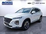 Hyundai SANTA FE (TM)(2018- ) Premium 4WD *Leder*Navi*LE - Hyundai SANTA FE in Bochum