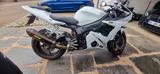 Yamaha YZF R6 RJ05 - Angemeldet, fahrbereit, gepflegt - YAMAHA WEIß R6
