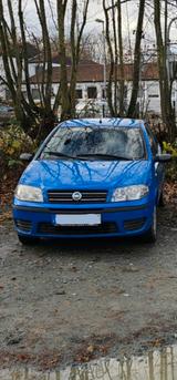 Fiat Punto 1.2 8V Dynamic Dynamic - Fiat Punto in Frankfurt (Main)