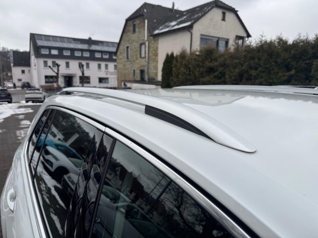 Tiguan Elegance 2.0 TDI 4Motion DSG IQ Light Nav