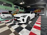 Kia Stinger GT 4WD - Kia Stinger aus 2021