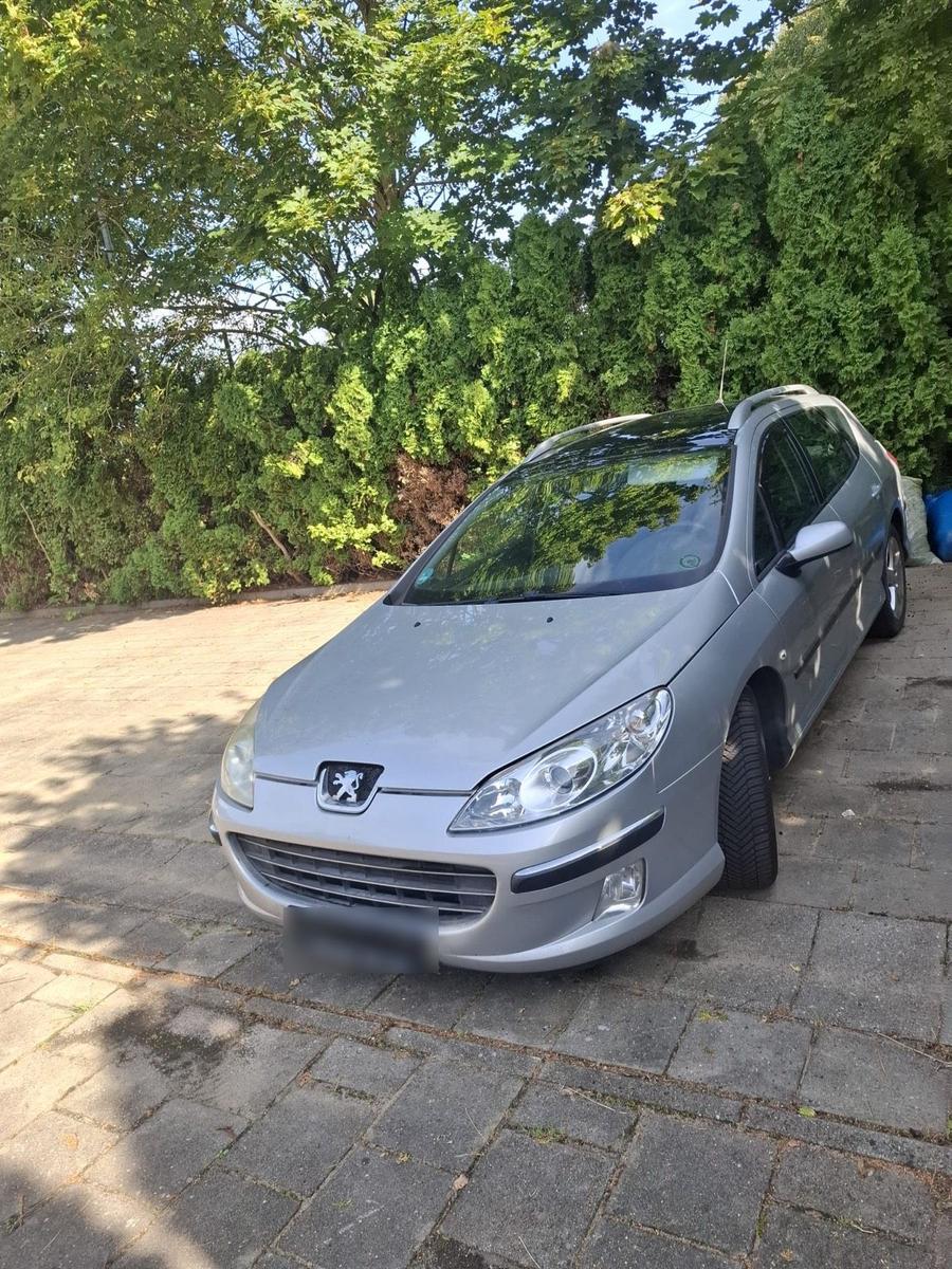 Peugeot 407 2005 — rear view