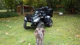 Kymco MXU 300R LOF - Offers matching your search criteria