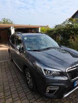 Subaru Forester 2.0ie Comfort Lineartronic Comfort - Subaru Forester mit Hybrid-Antrieb: Comfort