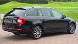 Skoda Octavia Co. Edition 1.4l 150PS XEN SHZ 1HAND GRA - Skoda Octavia mit Benzin-Antrieb: Edition