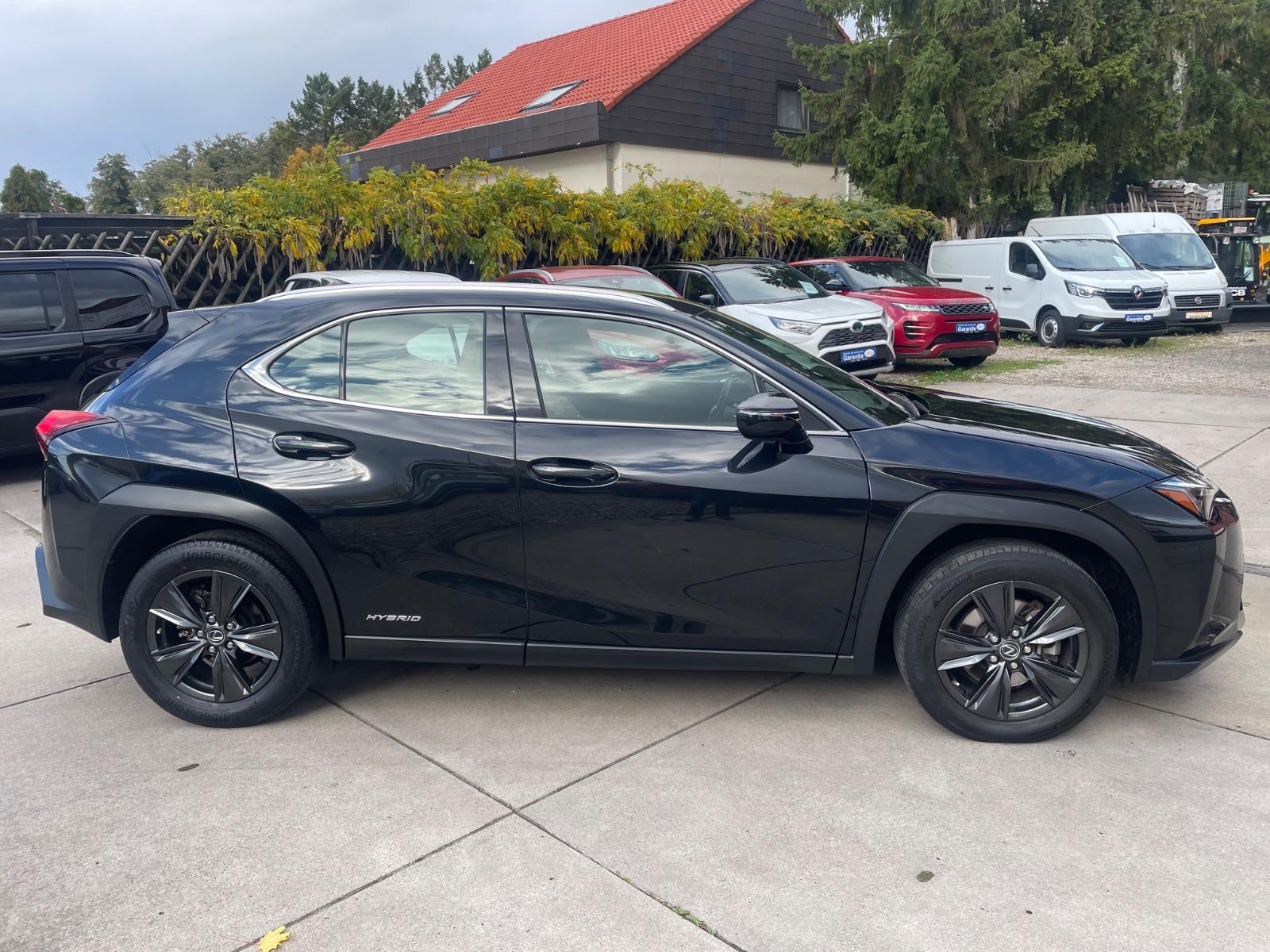 Lexus UX250H 2,0 Hybrid Automatik/Leder/Klima/Navi/Kam