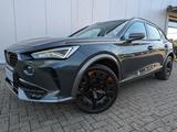 Cupra Formentor 2,0 TSI 4Drive DSG - Cupra Formentor: Alcantara