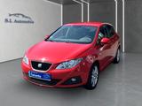 Seat Ibiza Lim. Copa Wagen Nr 079 - Seat Ibiza: Copa