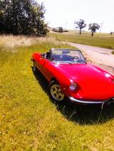 Alfa Romeo Spider - Alfa Romeo Gebrauchtwagen von 1977