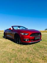 Ford Mustang 5.0 V8 GT Cabrio EU Modell 1.Hand  - Ford Mustang mit Benzin-Antrieb: Cabrio, 5.0