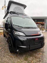 Roller Team Livingstone 2 Sport MJ 2025 - SOFORT LIEFERBAR