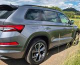 Skoda Kodiaq 4x4 - Sportline - Skoda Kodiaq in Kassel