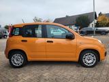Fiat Panda Base 1.0l*Hybrid, Klimaanlage,mwst.* - gebrauchte Fiat Panda aus dem Jahr 2021