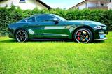 Ford MUSTANG  BULLITT V8 - mit XPEL Lackschutzfolie  - Ford Mustang mit Benzin-Antrieb: Coupe, Bullit