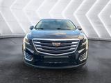 Cadillac XT5 3.6 V6 PREMIUM - Cadillac XT5 Gebrauchtwagen