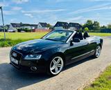 Audi A5 2.0 TFSI S-Line  132kW multitronic Cabriolet  - Audi A5 aus 2009: Line