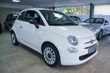 Fiat 500 1.0 CarPlay Alu Klima 1.Hand TÜV neu - Fiat 500: Weiß