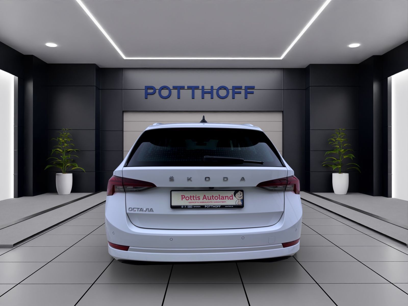 Skoda Octavia - Bild 4