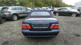 Mercedes-Benz CLK 230 KOMPRESSOR SPORT - Mercedes-Benz aus 2000: Cabrio, Clk