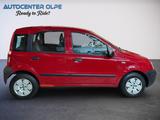 Fiat Panda 1.1 8V Active **ERST 38TKM-TÜV NEU** - Fiat Panda: Active