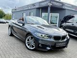 BMW 220 d Cabrio M Sportpaket |LEDER|BIXENON|NAVI| - BMW 220: D