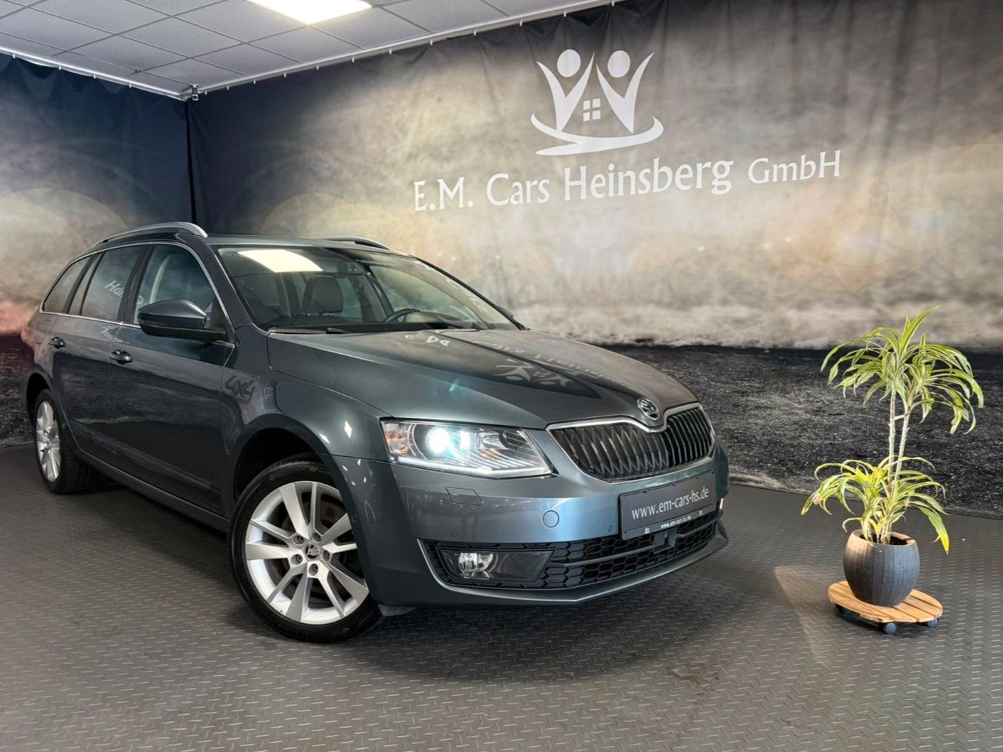 Skoda Octavia Combi 2.0 TDI L&K 4x4 AHK Standhzg.