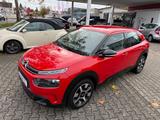 Citroën C4 Cactus Feel - gebrauchte Citroën C4 Cactus aus dem Jahr 2019