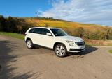 Skoda Kodiaq 1.4 TSI ACT 4x4 Ambition  - Skoda Kodiaq AMBITION mit Benzin-Antrieb