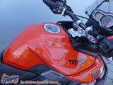Triumph Tiger 800 XRT mit Koffer + Zubehör alles TOP - TRIUMPH TIGER 800