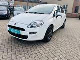 Fiat Punto MYSTYLE PDC KLIMA ALU WENIG KM GARANTIE - Fiat Punto: Mystyle