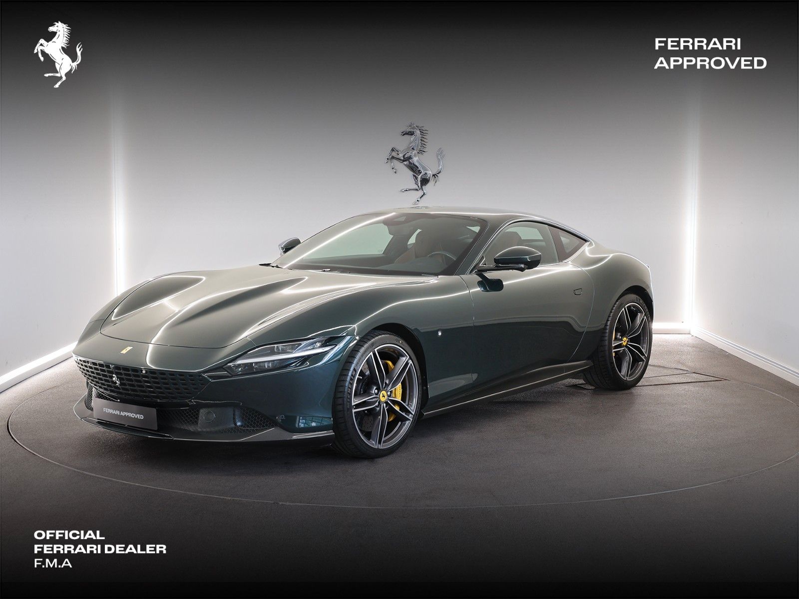 Ferrari Verde Zeltweg / Full Carbon / Ferrari Approved
