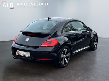 Volkswagen Beetle - 5