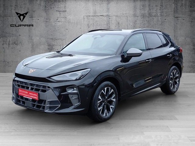 Cupra Terramar - Bild 2