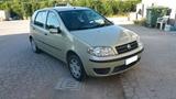 Fiat Punto 1.2 8V 5p. Dynamic - Fiat Punto: Dynamic