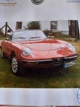 Alfa Romeo 115 ( Oldtimer) - gebrauchte Alfa Romeo Spider aus dem Jahr 1979