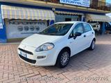 Fiat FIAT Punto 1.2 8V 5 porte Street NEOPATENTATO - Fiat Punto: Street
