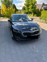 Skoda Octavia Combi  First Edition - 2.0 TDI DSG 