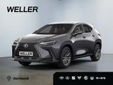 Lexus NX 350h Executive Line* Allrad 360*Navi*LED*el H
