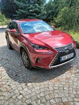Lexus NX 300h E-FOUR - - Lexus NX-Serie von privat