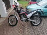 Beta T1 - Angebote