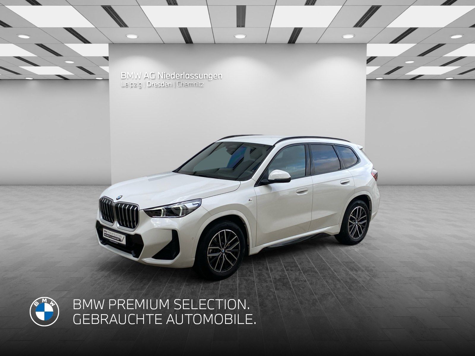 BMW X1 sDrive20i M Sport AHK Kamera LED Sitzheizung