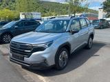 Subaru Forester Comfort MY 25 (DE=TREND)  8 J. Garantie - Subaru Forester mit Hybrid-Antrieb: Comfort