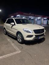 Mercedes-Benz ML 250 BlueTEC 4MATIC - - Mercedes-Benz ML 250 aus 2015