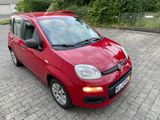 Fiat  Panda 1.2 8V Pop